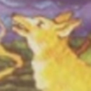 Meet your Posher, Casey